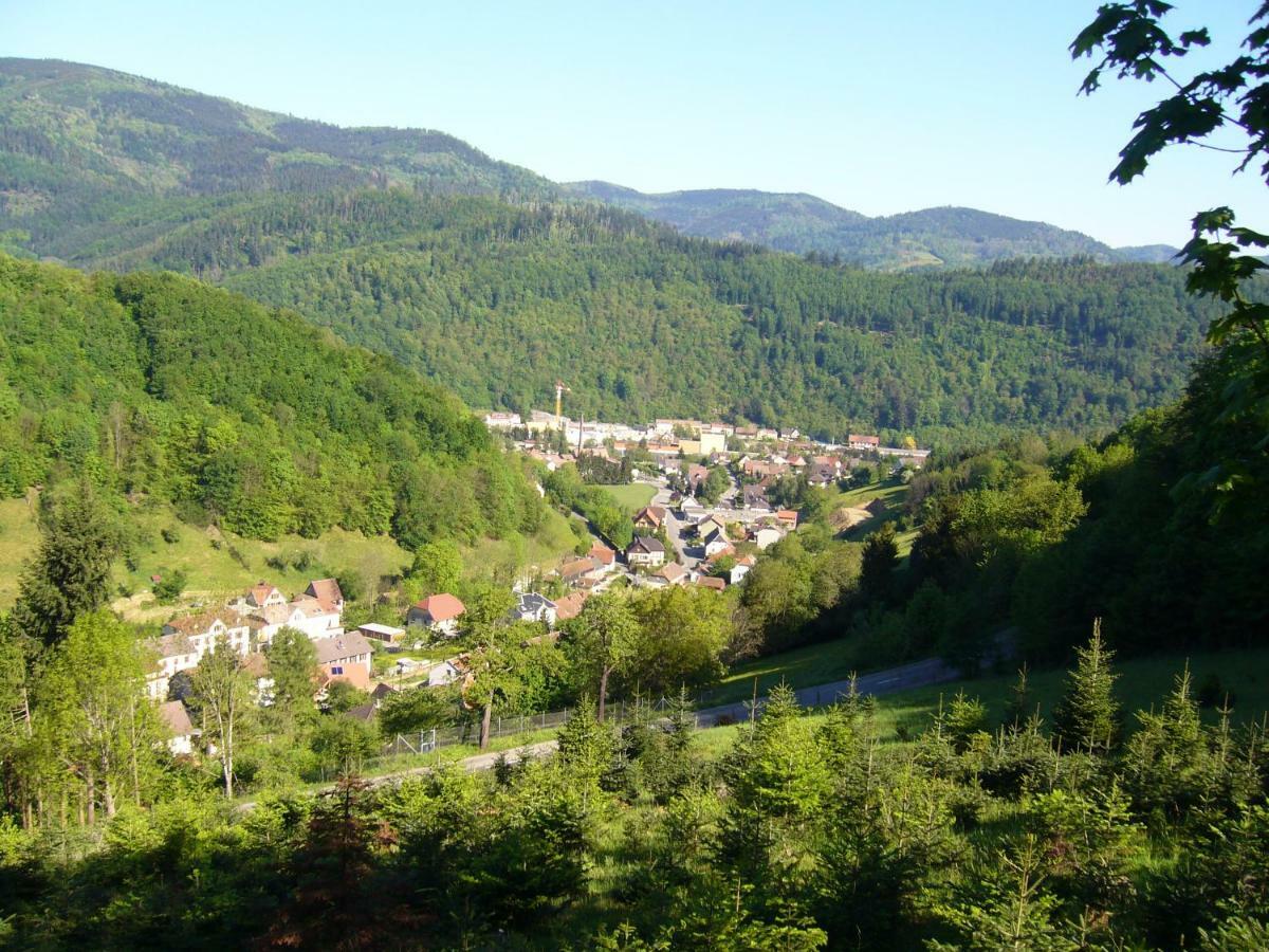 Le Tricotin Gite 2-4 Personnes Sainte-Marie-aux-Mines Exteriér fotografie